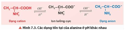 Giải Hóa 12 trang 41 Chân trời