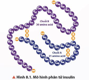 Giải Hóa 12 trang 45 Chân trời