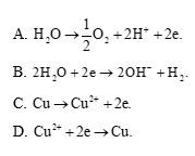 Giải Hóa 12 trang 74 Chân trời