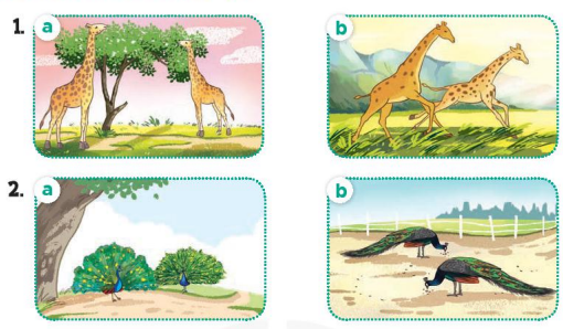 Tiếng Anh lớp 4 unit 19 lesson 2 trang 60 61 Global Success