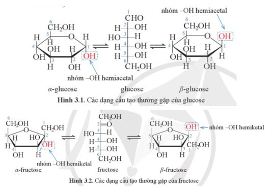 Giải Hóa 12 trang 21 Cánh diều