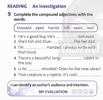 Tiếng Anh 9 Progress Review 2 trang 48 Friends Plus