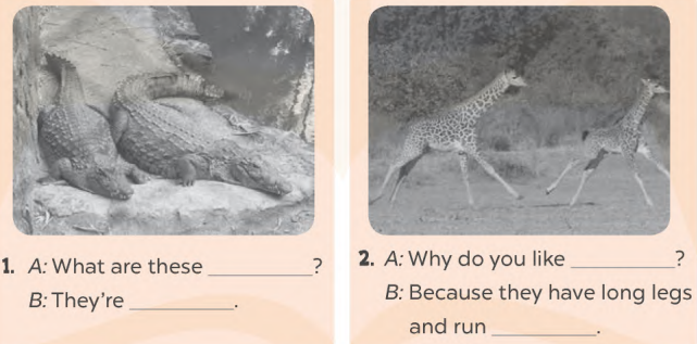 Sách bài tập tiếng Anh lớp 4 unit 19 Global success