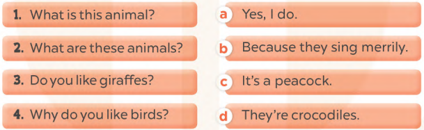 Sách bài tập tiếng Anh lớp 4 unit 19 Global success