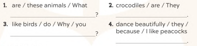 Sách bài tập tiếng Anh lớp 4 unit 19 Global success