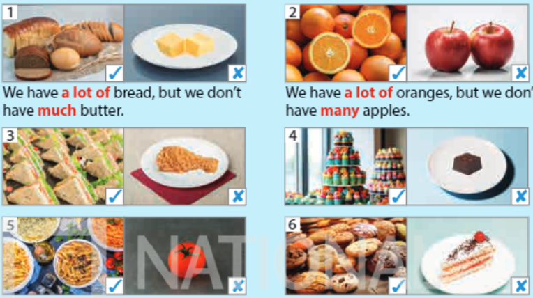 Tiếng Anh 5 Wonderful world Unit 6 lesson 1