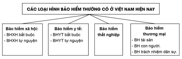 Giải KTPL 12 trang 29 Kết nối