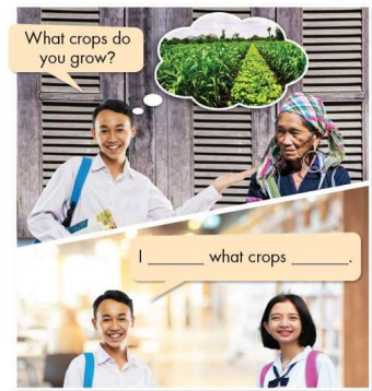 Tiếng Anh 8 unit 8 lesson 2