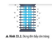 Hình 33.2