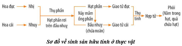 Luyện tập 4