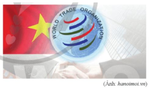 Giải KTPL 12 trang 16 Cánh diều