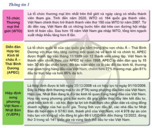 Giải KTPL 12 trang 22 Cánh diều