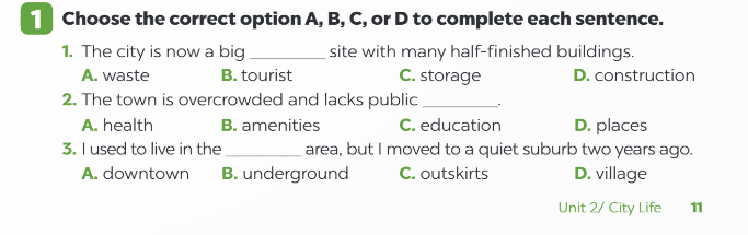 Sách bài tập Tiếng Anh 9 Global Success Unit 2 Vocabulary and Grammar