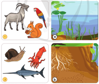 Đạo đức lớp 5 Cánh diều Bài 6: Môi trường sống quanh em