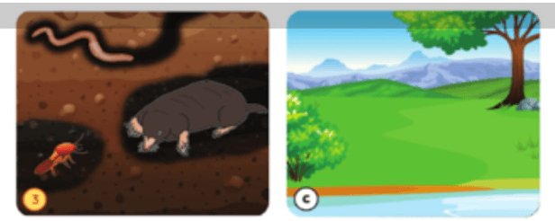 Đạo đức lớp 5 trang 33, 34, 35 Luyện tập