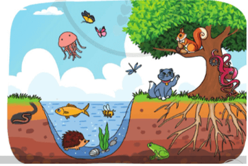 Đạo đức lớp 5 Cánh diều Bài 6: Môi trường sống quanh em