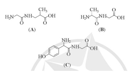 Giải Hóa 12 trang 53 Cánh diều