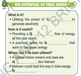 Tiếng Anh 12 Bright Unit 6 6c Listening
