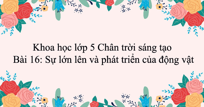 Khoa học lớp 5 Chân trời sáng tạo Bài 16: Sự lớn lên và phát triển của ...