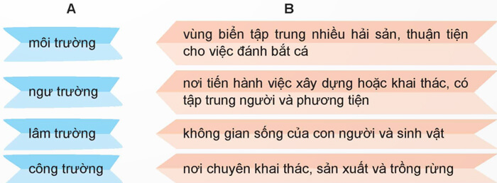 Luyện từ và câu: Mở rộng vốn từ Môi trường