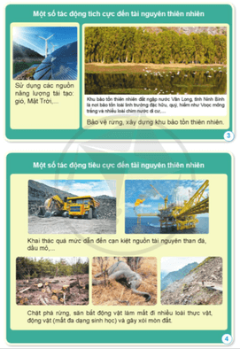 Câu hỏi quan sát trang 94 SGK Khoa học lớp 5