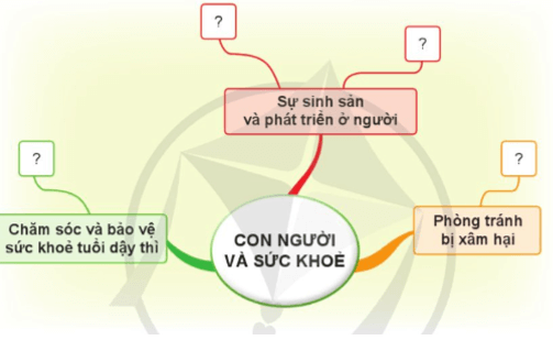 Giải Khoa học lớp 5 trang 89