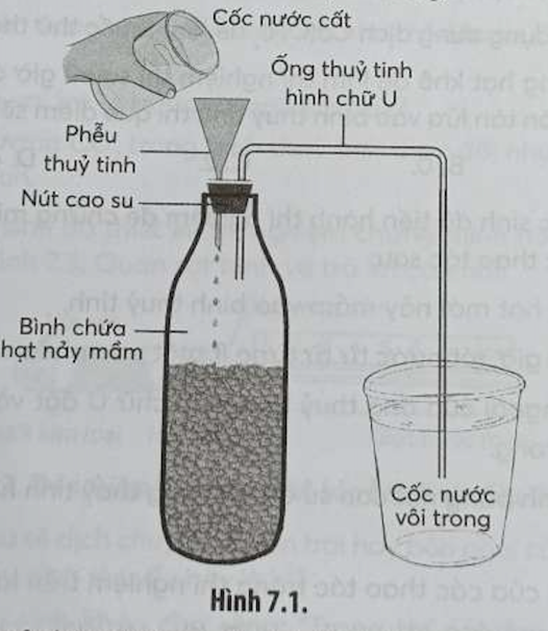 Để kiểm chứng cho kết quả thí nghiệm ở Hình 7.1, ta có thể sử dụng công thức thí (ảnh 1)
