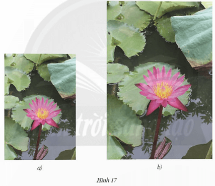 Bài 4 trang 83 Toán 8 Tập 2 Chân trời sáng tạo | Giải Toán 8