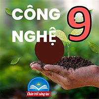 Công nghệ 9 Chủ đề 1: Lựa chọn trang phục