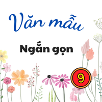 Viết bài văn nghị luận về một vấn đề cần giải quyết Ngắn gọn lớp 9