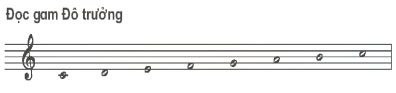 Âm nhạc 4