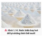 Giải Vật lí 12 trang 11 Chân trời