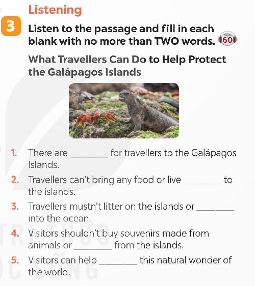 Tiếng Anh 9 Global Success Review 3 Skills