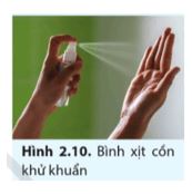 Giải Vật lí 12 trang 43 Cánh diều
