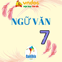 Viết một đoạn văn trình bày ý kiến của em về tác dụng của việc sử dụng các từ ngữ địa phương trong một văn bản mà em đã học hoặc đã đọc