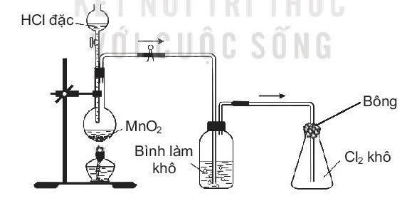 Sách bài tập Hóa học 10 Bài 21 (Kết nối tri thức): Nhóm halogen  (ảnh 1)