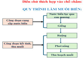 Quy trình làm muối biển