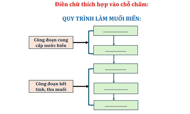 Giáo án PowerPoint STEM lớp 5