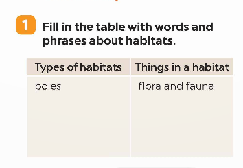 Tiếng Anh 9 Global Success Unit 10 Looking back