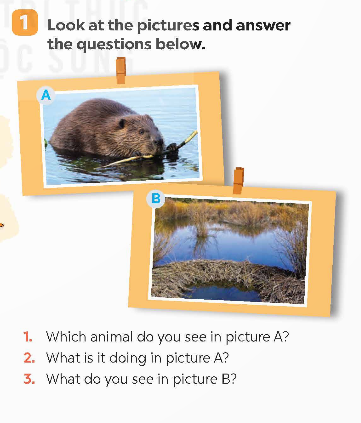 Tiếng Anh 9 Global Success Unit 10 Skills 2