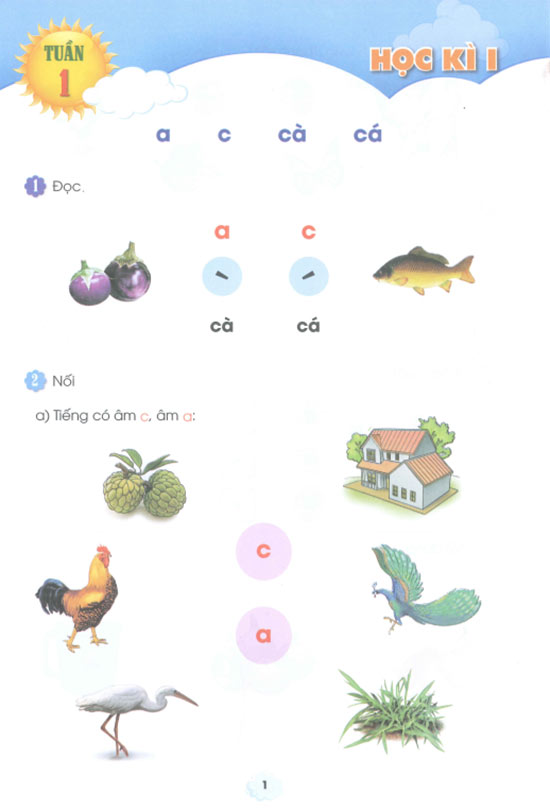 Phiếu bài tập cuối tuần môn Tiếng Việt 1 sách Cánh diều