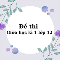 Đề thi giữa kì 1 Lịch sử 12 Cánh diều