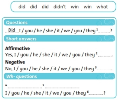 Sách bài tập Tiếng Anh lớp 6 unit 7 Language focus 2