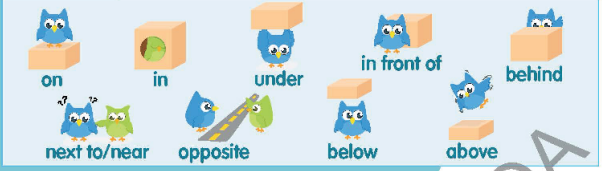 Tiếng Anh 6 Right On Unit 1 1e Grammar