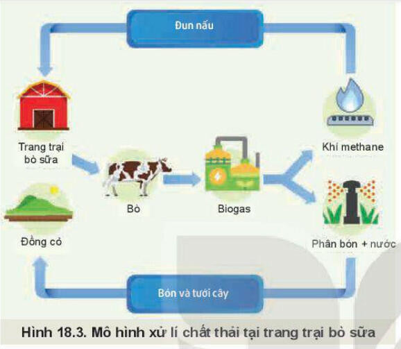 Lý thuyết Công nghệ 11 Bài 18 (Kết nối tri thức): Chăn nuôi theo tiêu chuẩn VietGAP (ảnh 1)