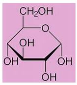 Đề thi giữa học kì 1 lớp 12 môn Hóa Kết nối tri thức