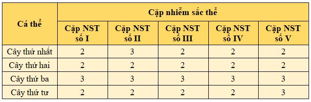 Đề thi giữa học kì 1 Sinh học 12 Cánh diều