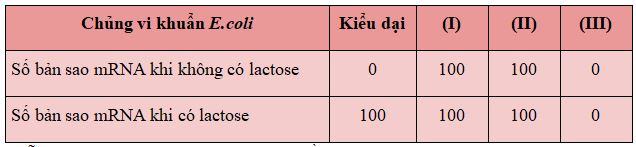Đề thi giữa học kì 1 Sinh học 12 Kết nối tri thức