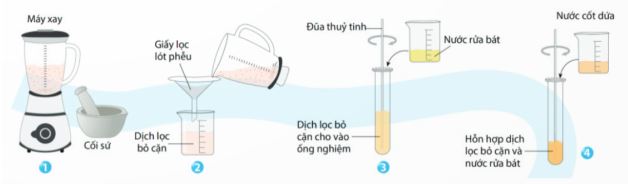 Đề thi giữa kì 1 Sinh học 12 Kết nối tri thức