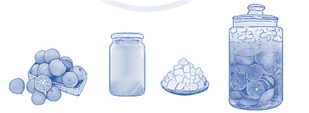 Vở bài tập Toán lớp 5 Cánh diều Bài 10: Luyện tập